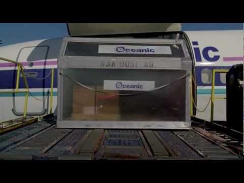 LOST: Opening Montage - Intro (6x17 The end)