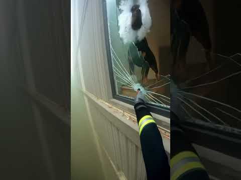 Firefighter Rescues Girls Dog 🥹