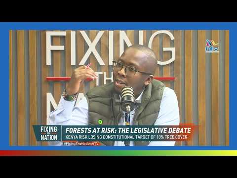 Why Proposed Amendment Puts Public Forests At Risk | Job Mwangi