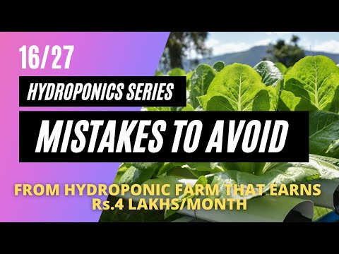 Hydroponics pro-tray mistakes | 16/27