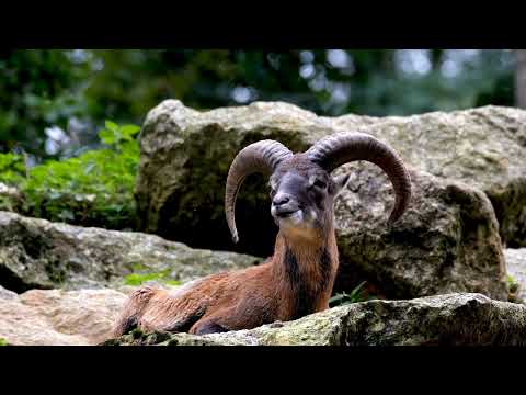 Person Walking Towards The Beach