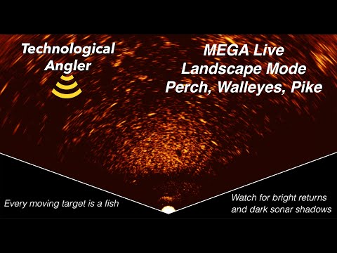 Humminbird MEGA Live Landscape Mode / Ice Fishing / The Technological Angler