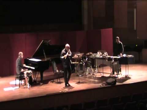 @ionbogdanstefanescu  Traditional - Geamparale