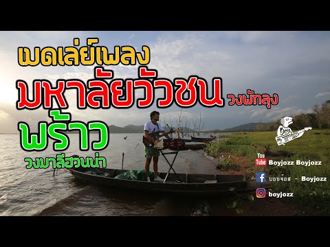 มหาลัยวัวชน+พร้าว [Cover By BOYJOZZ]