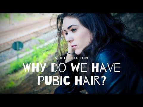 Why do we have pubic hair?