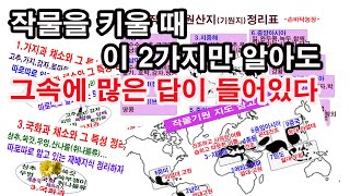 작물을 키울 때 이 2가지만 알아도 그 속에 많은 답이 들어있다(작물재배, 텃밭작물 심기, 작물 과별 특성,…