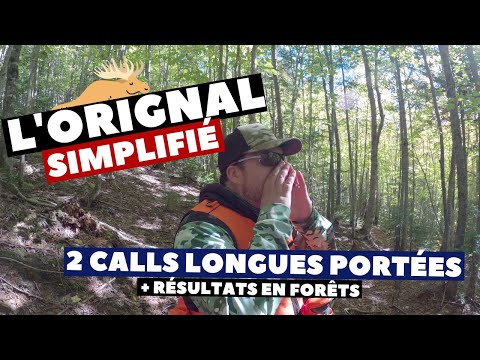 Chasse Orignal 2020 : 2 appels de longues portées! Call Maheu, plaintive | Orignal simplifié