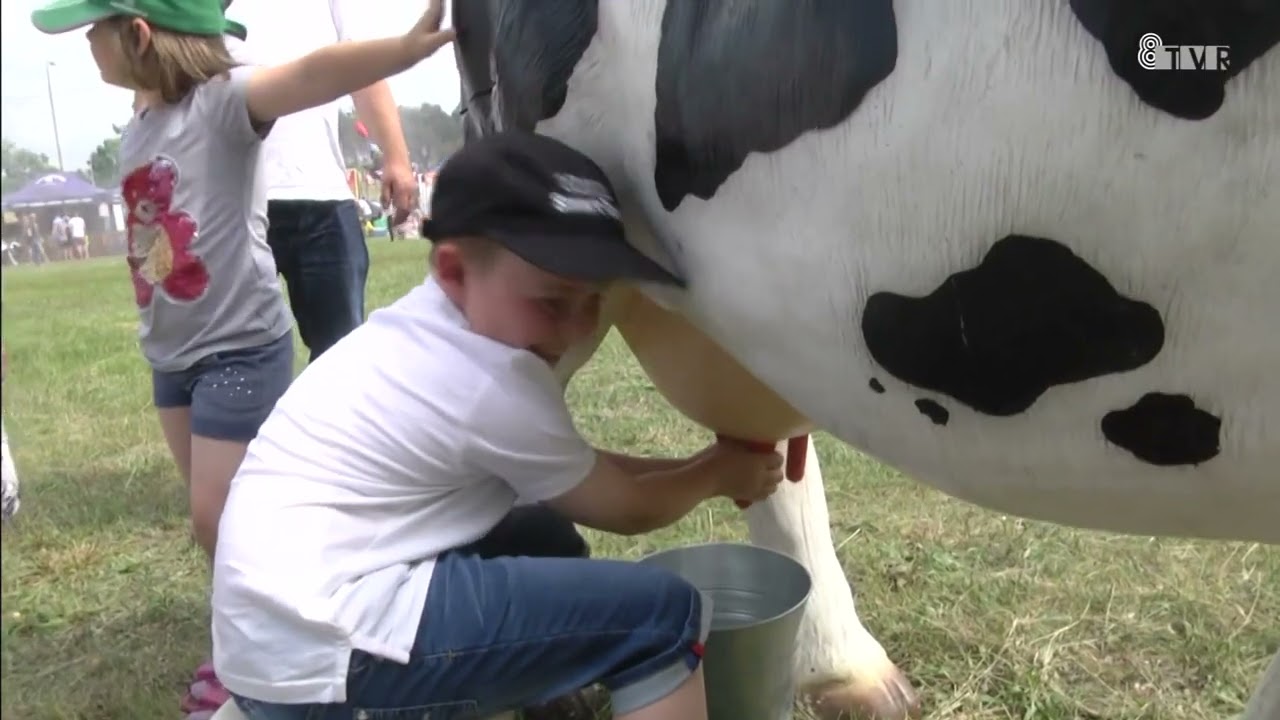 Zapowiedź Festiwalu Mleka i Miodu w Strumianach k. Burzenina