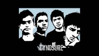 Cynosure - On a road