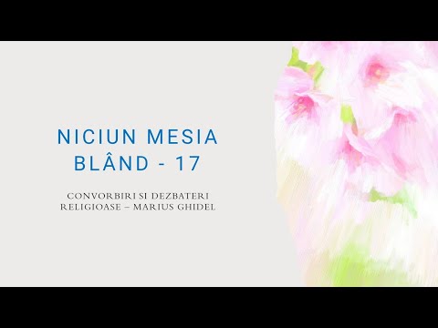 NICIUN MESIA BLÂND - 17