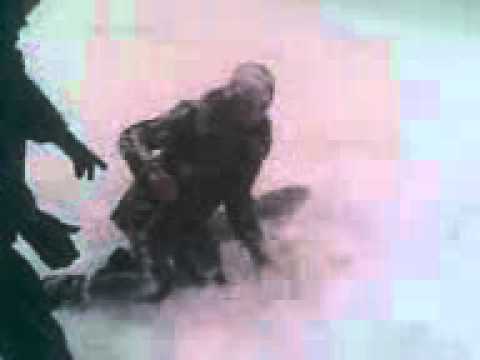 nebunul din bozovici