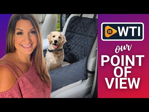 Dog car seat - WTI product video review