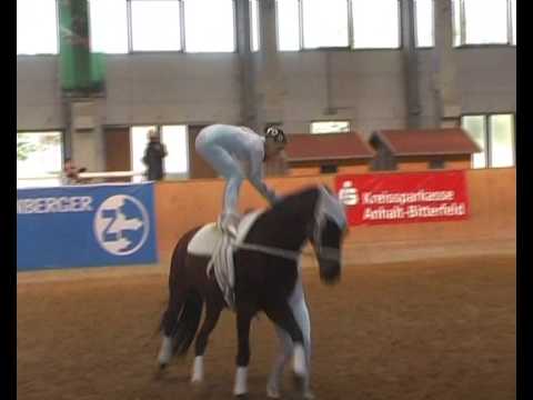 Norddeutsche Meisterschaften in Prussendorf - Pegasus Garbsen I