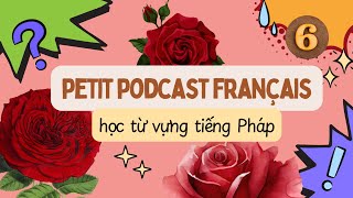 Vocabulaire Français A2 | La vie en rose
