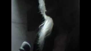 Connie You Ain&#39;t Woman Enough.MOD