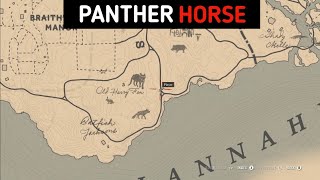 One Panther Can Make Your Horse More Beautiful & Powerful - RDR2