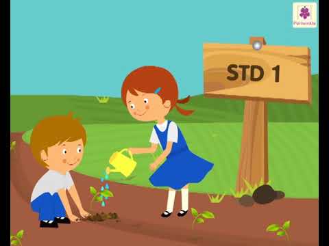 Conversion of Kilometres and Metres | Mathematics Grade 3 | Periwinkle