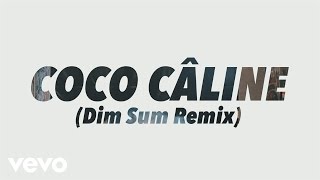 Julien Doré - Coco Câline (Dim Sum Remix) (Alternative Video)
