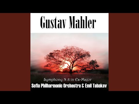 Symphony No 8 in Es-Major: 2. Zweite Abteilung - Poco Adagio