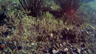 Senderismo por Peñón Blanco Durango