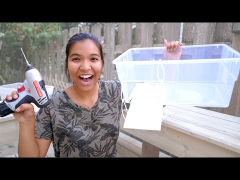 DIY Basking Area for Turtles - how to make it!