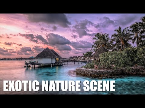 Exotic Nature scenes with Relaxing Music. 1 hour HD video Meditation | Sleep | Study