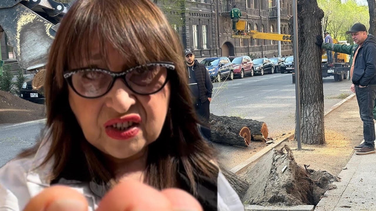 «Այո, ես եմ որոշել»․ մաստակով տիկինը՝ ծառերի սպանդի կազմակերպի՞չ