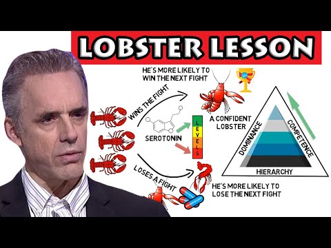 Jordan Peterson - Lobster lesson "Stand up straight with your shoulders back" (rule 1)