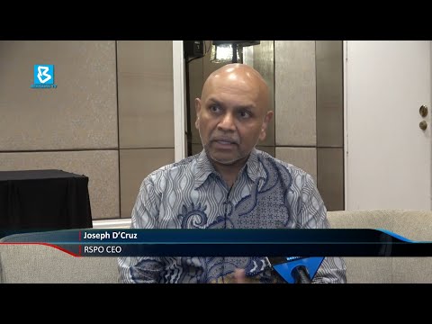 Palm oil: RSPO steps up global advocacy to counter Europe’s negative perception