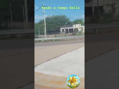 Viajecito a Campo Gallo #travel #traveling #viajar #santiagodelestero