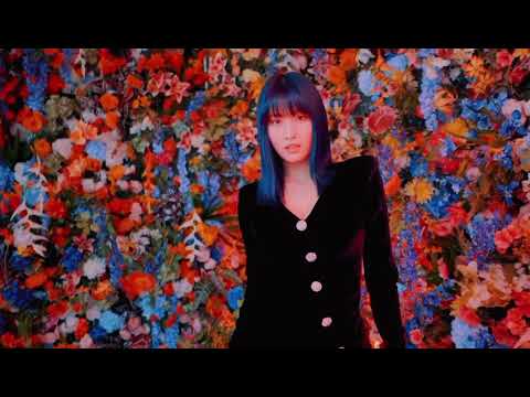 fly high 💗 secret story of the swan