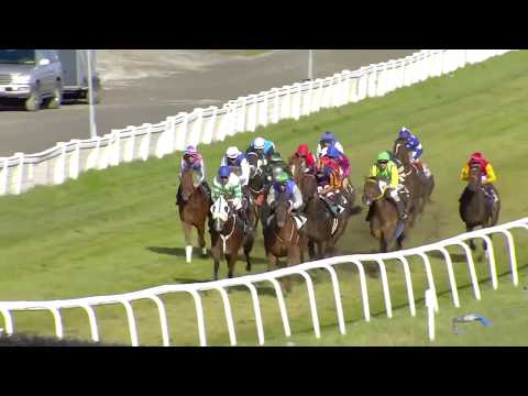 2018.10.07 Breeders Priz Sprint (NOR) - Bijou