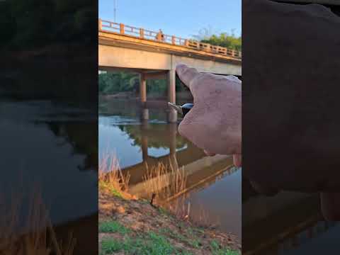 rio barão de melgaço pimenta Bueno Rondônia