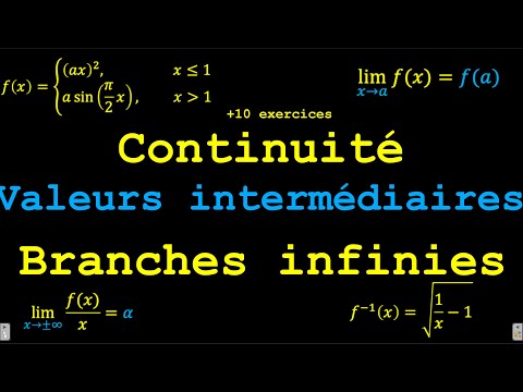 LIMITES ET CONTINUITE: limites - Continuité - Valeurs intermédiaires - branches infinies - bijection