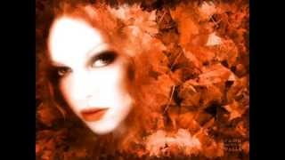 VAN MORRISON WHEN THE LEAVES COME FALLING DOWN