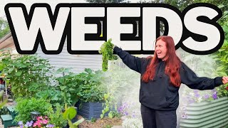 Your Weeds Aren’t Random—Here’s What They Really Mean