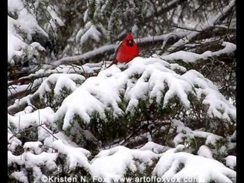 The Holly And The Ivy - Steeleye Span
