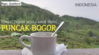 Download lagu SENSASI PERJALANAN KE PUNCAK BOGOR. TEMPAT NGOPI SEJUTA UMAT. /Driving to coffee time mp3 Download lagu SENSASI PERJALANAN KE PUNCAK BOGOR. TEMPAT NGOPI SEJUTA UMAT. /Driving to coffee time mp3
