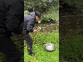 New beautiful fish trap😰 - Mr. Leaf Area New beautiful fish trap😰
