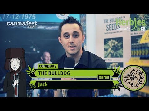 The Bulldog Seeds