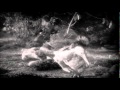 Vintage Film Of Rare Bird Wmv