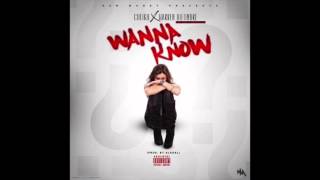 Warren Dieondre - Wanna Know (feat. Cheikh, Oshea & Melle Morell)