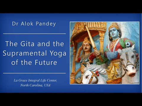 The Gita and the Supramental Yoga of the Future  |  TE 480