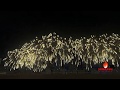 NYC USA New Years Eve 2019 Fireworks FWsim
