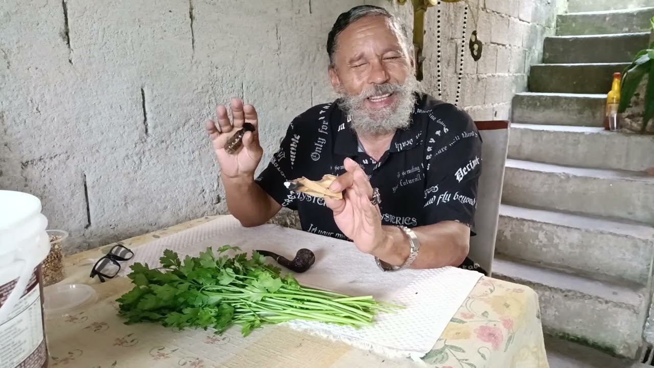 Purifique sua casa/loja/comércio