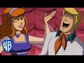 Scooby Doo Fred Loves Daphne ️ Wbkids ​