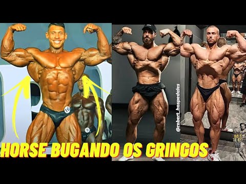 A EVOLUÇÃO DO RAMO PARA VENCER O CBUM | HORSE NA CLASSIC