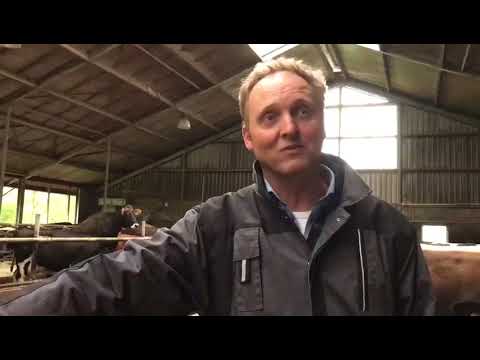 Hoof health & Stress-free stockmanship