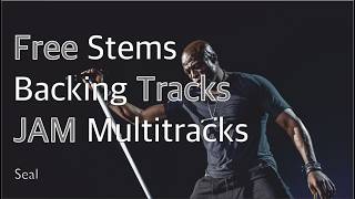 Seal - Crazy | Multitrack Stems & Backing Tracks (2026)