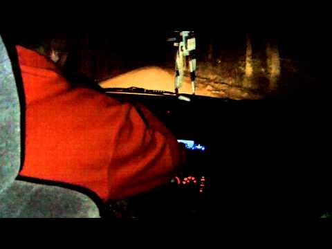 Bear Creek Swamp Video 3